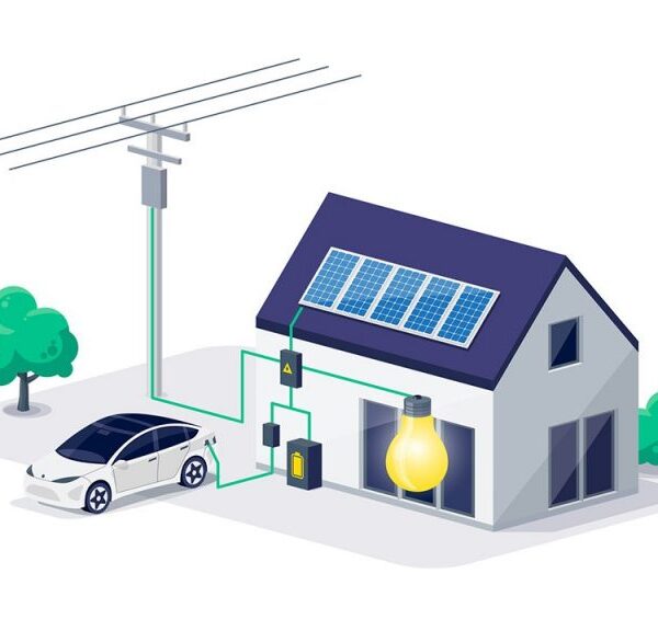 1677631334037 1677631334037